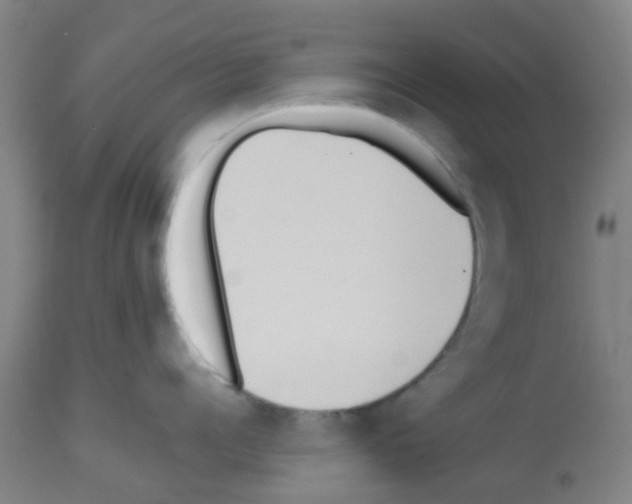 X0000112480960200909281106