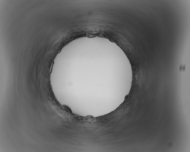 X0000112480961200909281105