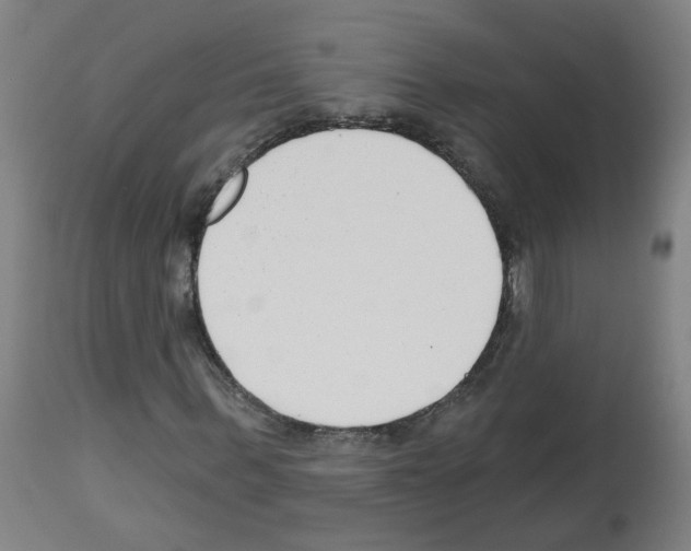 X0000112480963200909281105