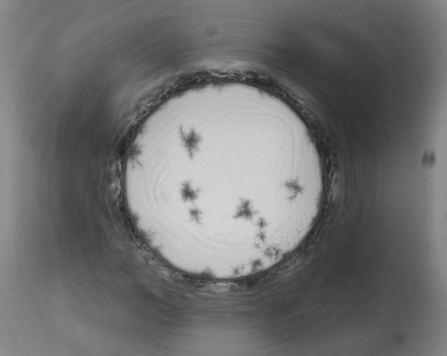 X0000112480966200909281105