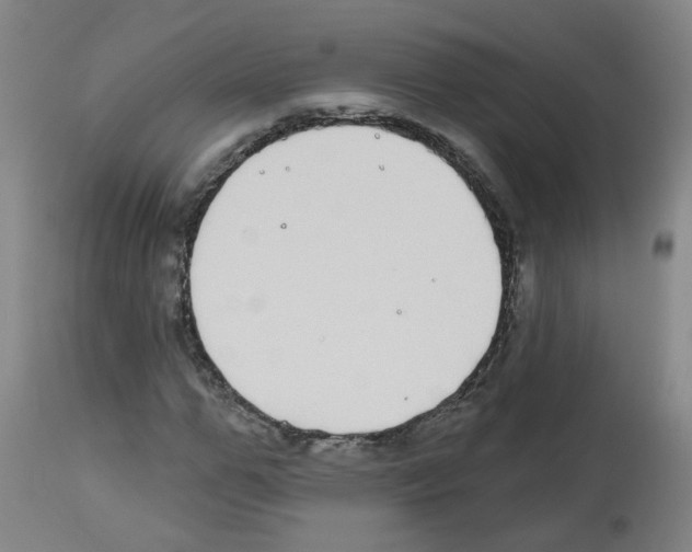 X0000112480967200909281105