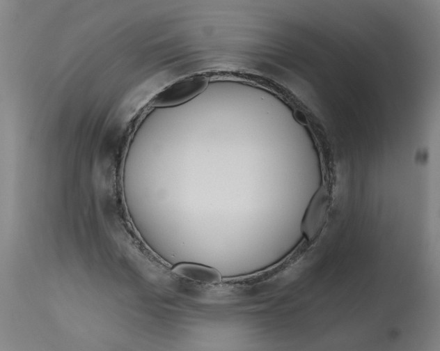 X0000112480969200909281105