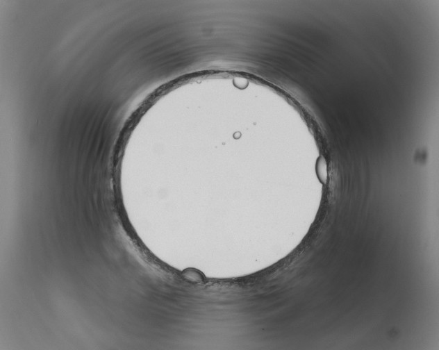 X0000112480972200909281105