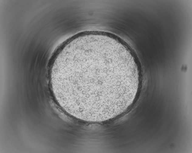 X0000112480974200909281105