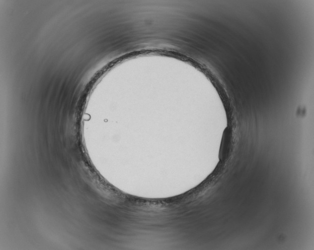 X0000112480975200909281105