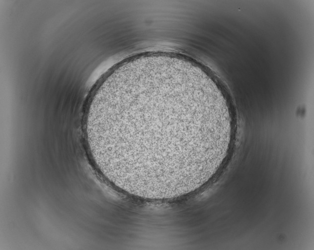 X0000112480978200909281105