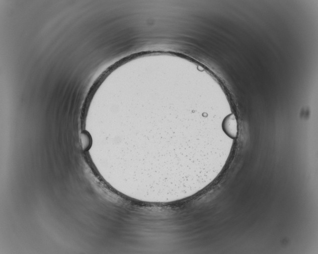 X0000112480980200909281105