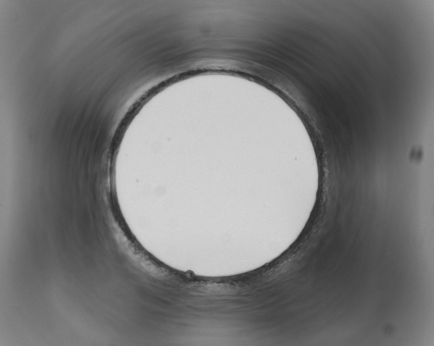 X0000112480984200909281105