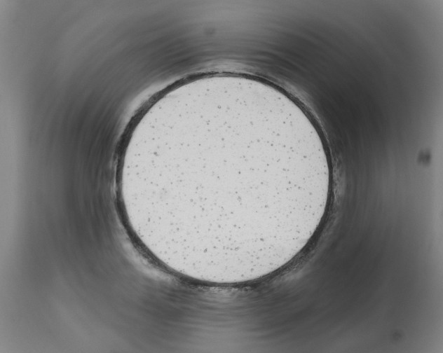 X0000112480987200909281105