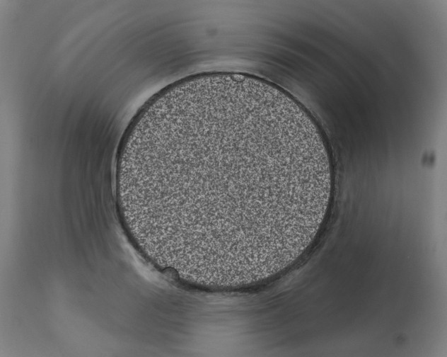 X0000112480988200909281105