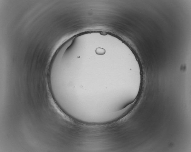 X0000112480989200909281105