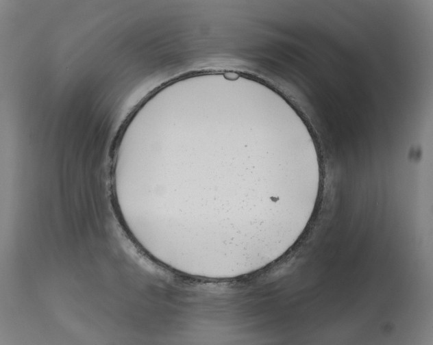 X0000112480990200909281105