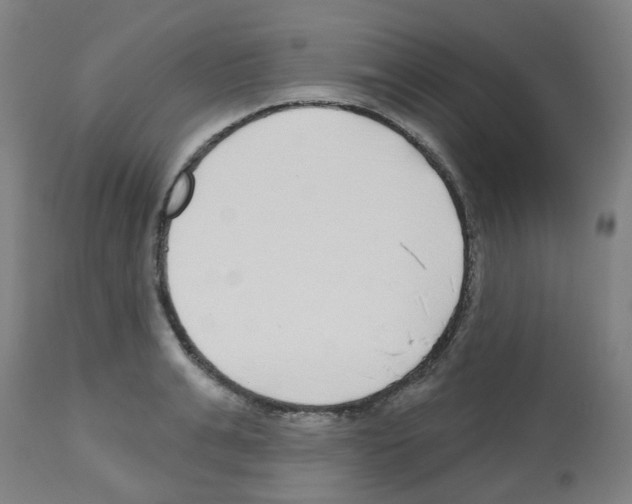 X0000112480991200909281105