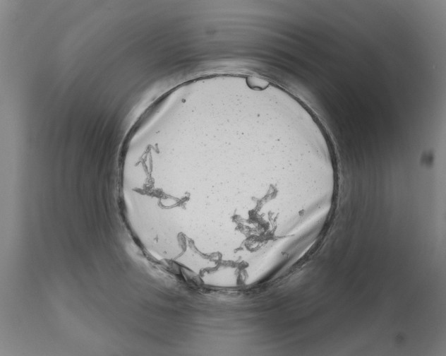 X0000112480994200909281105