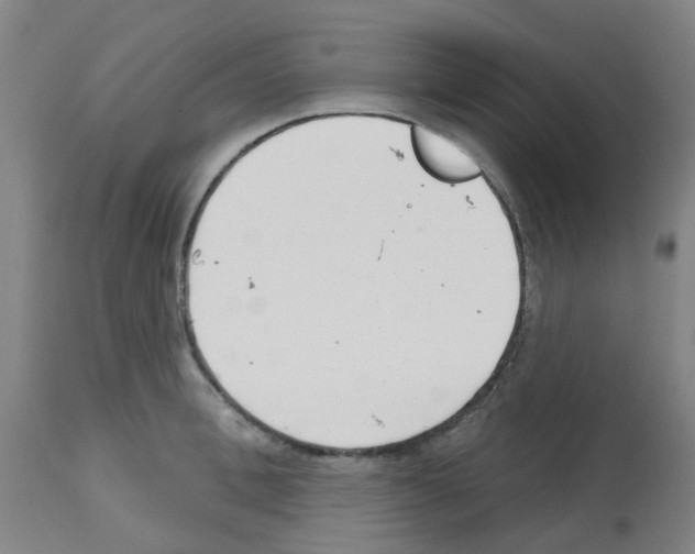 X0000112480996200909281105