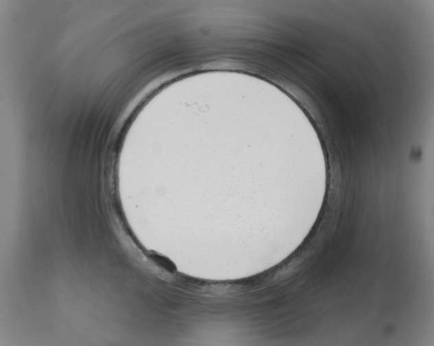 X0000112481000200909281105