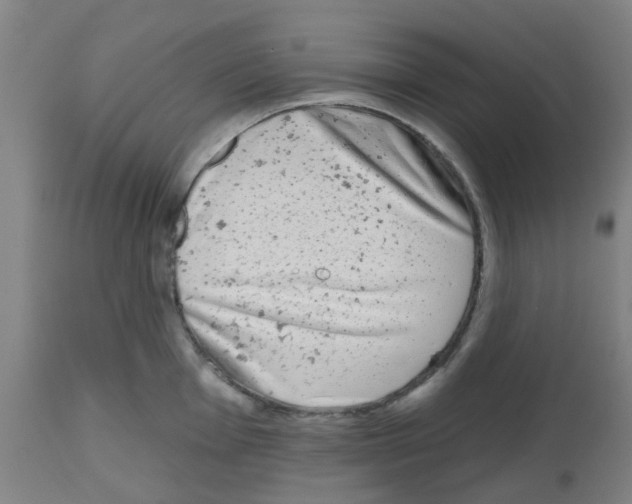 X0000112481001200909281105