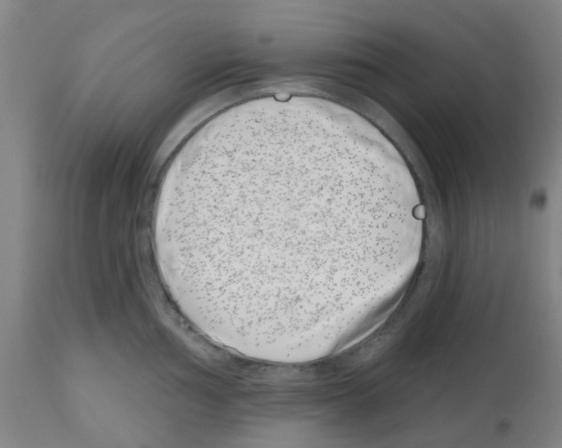 X0000112481002200909281105