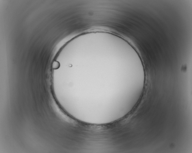 X0000112481003200909281105