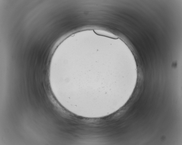 X0000112481004200909281105