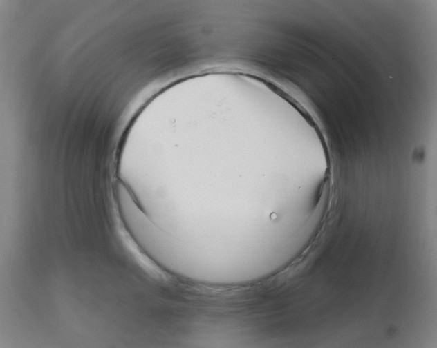 X0000112481005200909281105