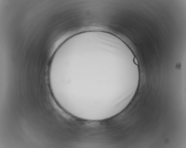 X0000112481006200909281105