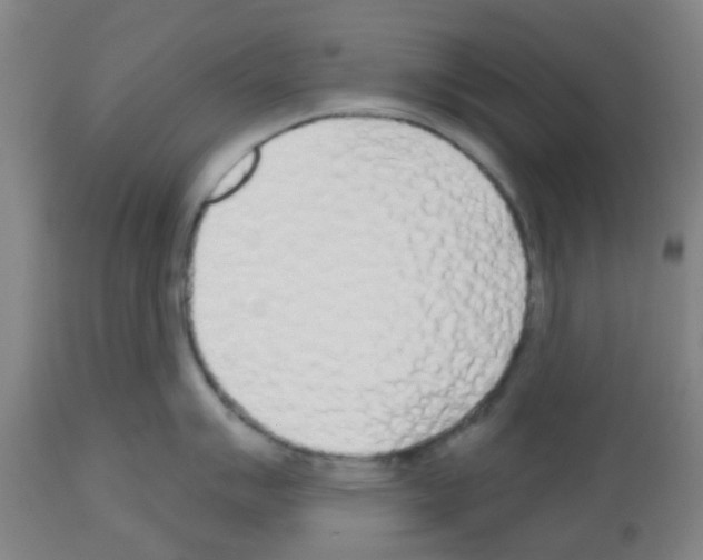 X0000112481007200909281105