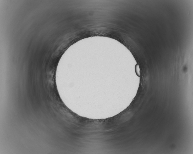 X0000112481010200909281104