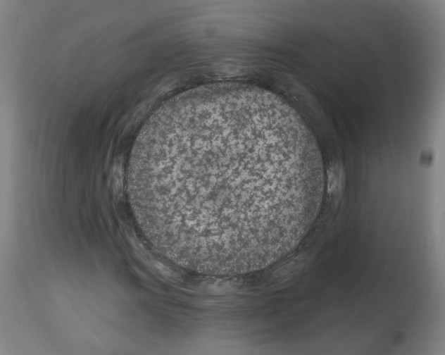 X0000112481011200909281104