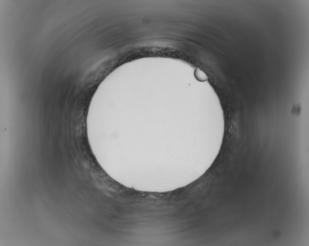 X0000112481014200909281104