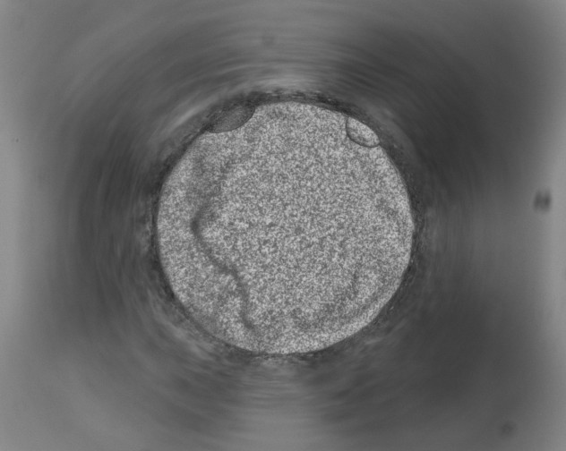 X0000112481015200909281104