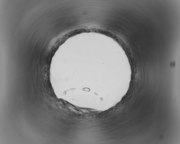 X0000112481016200909281104