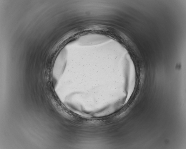 X0000112481017200909281104