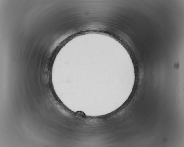 X0000112481018200909281104