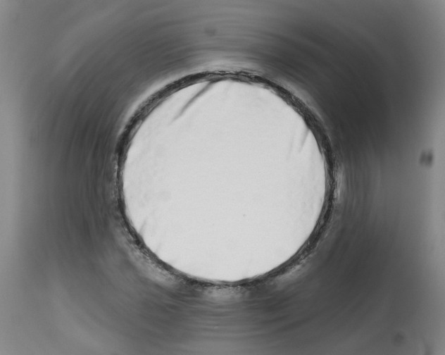 X0000112481021200909281104