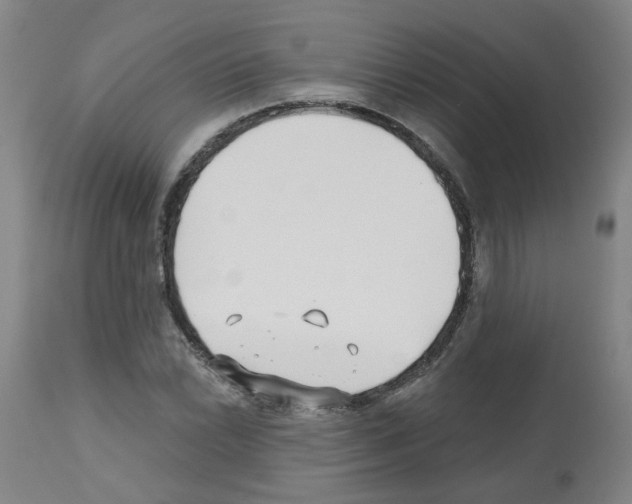 X0000112481022200909281104