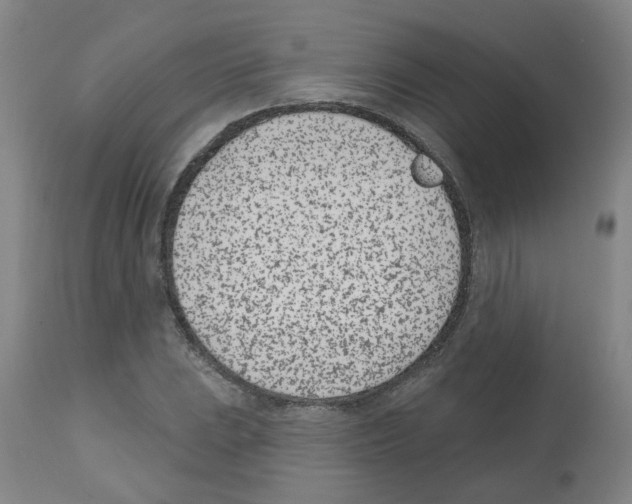 X0000112481023200909281104