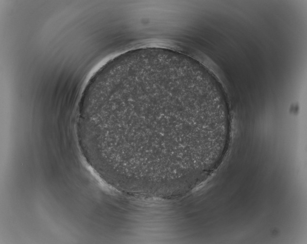 X0000112481024200909281104