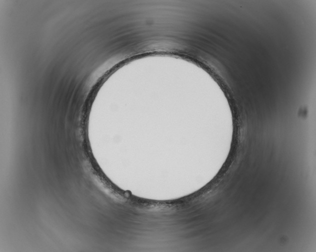 X0000112481026200909281104