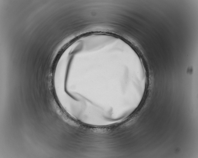 X0000112481029200909281104