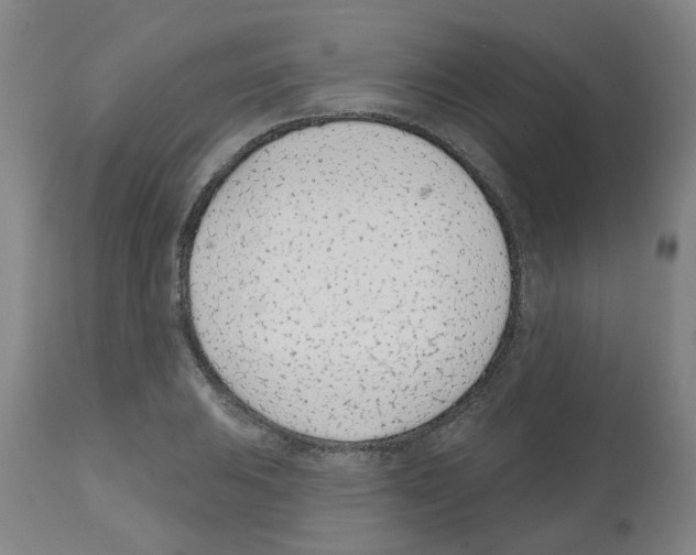 X0000112481031200909281104