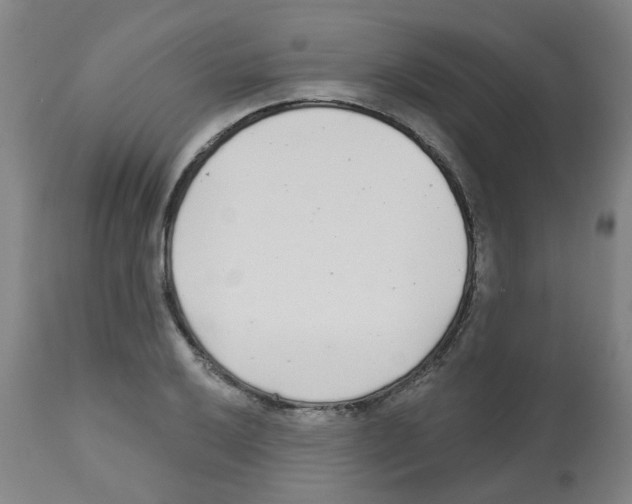 X0000112481032200909281104