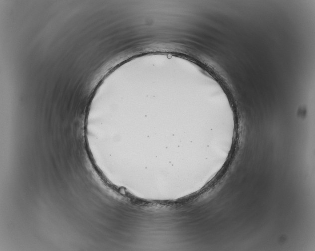 X0000112481033200909281104