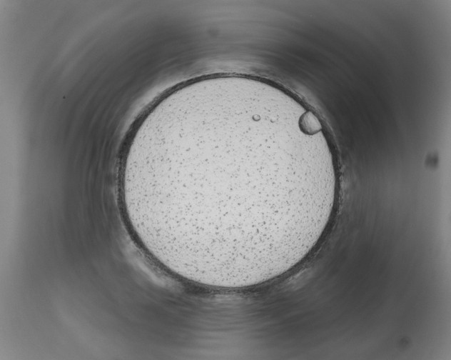 X0000112481035200909281104