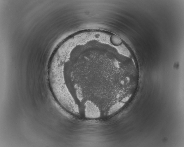 X0000112481037200909281104