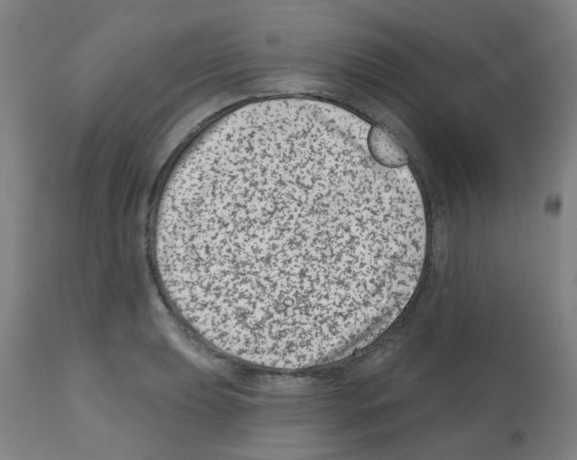 X0000112481039200909281104