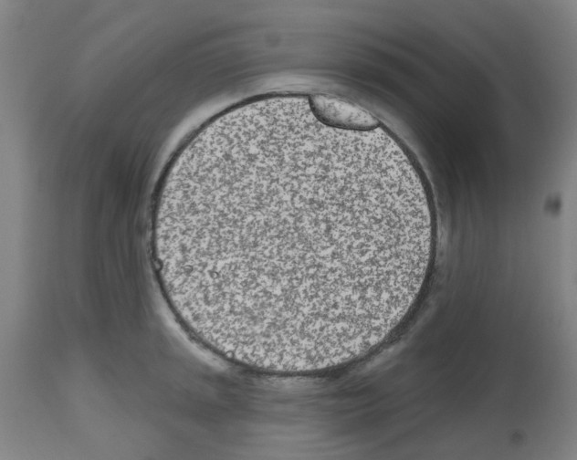 X0000112481045200909281104