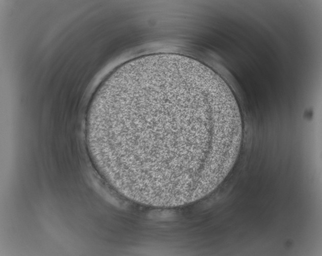 X0000112481051200909281104