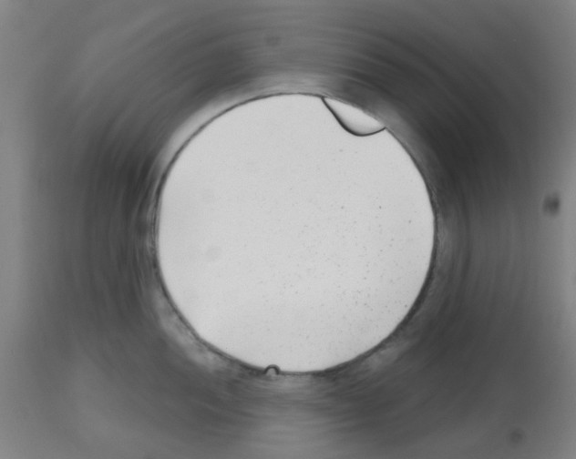 X0000112481052200909281104