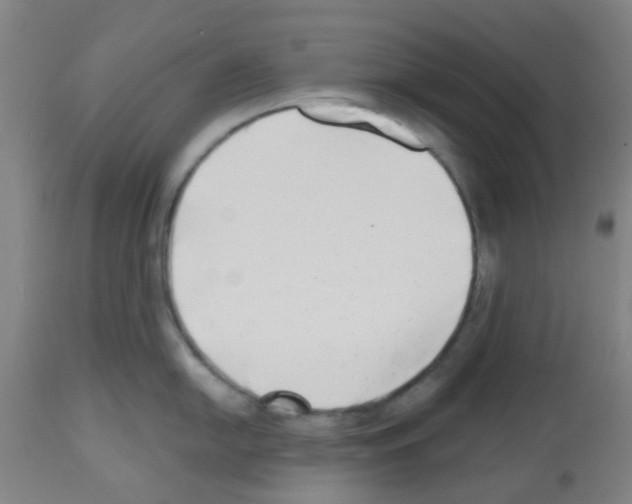 X0000112481054200909281104